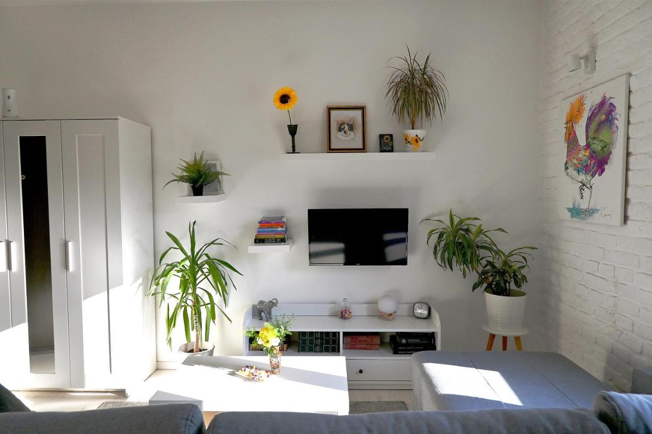 Rooster Apartments Βελιγράδι Εξωτερικό φωτογραφία